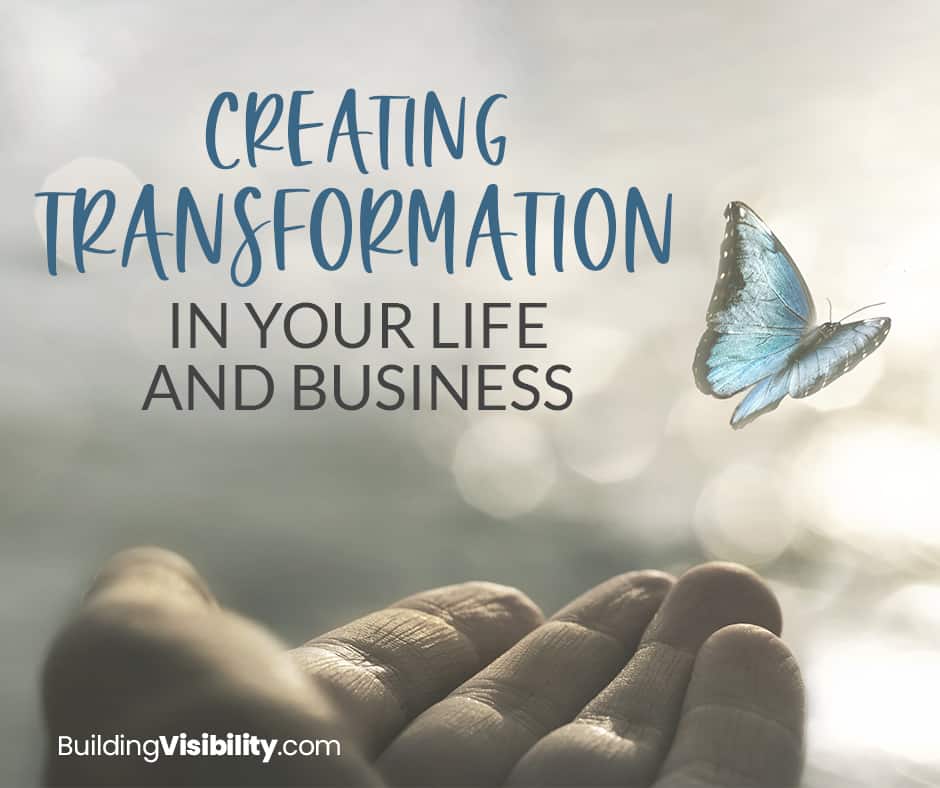 Creating Transform your life and business like the butterfly rises from a cocoon.